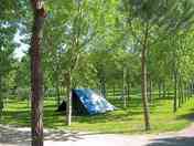 Pitches under the trees