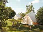 Bell tents in the fruit garden (added by manager 31 Jan 2022)