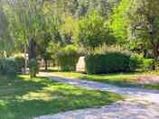 Grass pitches partially shaded by trees