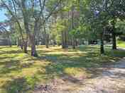 Woodland