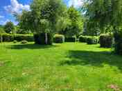 Grass pitches