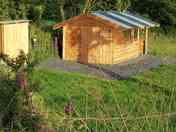 Foxglove pitch