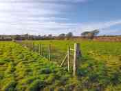 Top field