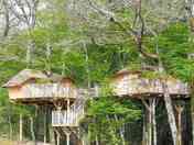 Exterior of the treehouses