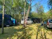 Roomy pitches