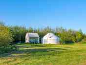 Each yurt surrounded by young woodland