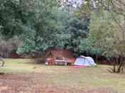 Pitches backed by mature trees