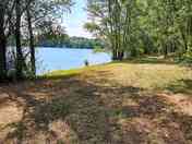 Grass pitches partially shaded by trees