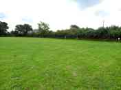 Grass pitches