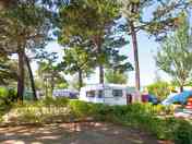 Pitching up under the trees