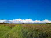 Spacious grassed pitches with far reaching views to the Preseli hills and the coast