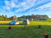 Grassy pitches
