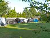 Grass pitches