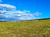 Looking up the site to standard pitches