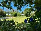 Looking towards the static caravans