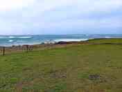 Pitches with sea views