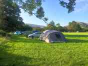 Busy bank holiday on the meadow field