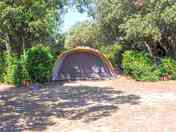 Pitches among the trees