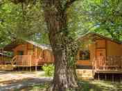 Haritza safari tents