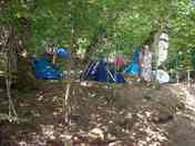 Tents in the chestnut grove