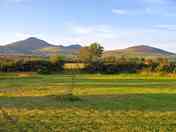 The bottom field