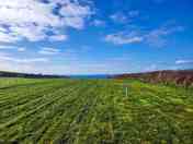 Grass pitch