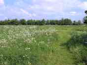 Standard pitch in the upper meadow