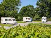 Plas Farm Standard Pitches