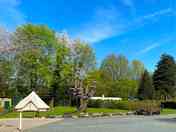 New tent pitches