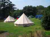 Yurt