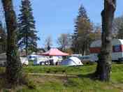 Grass pitches