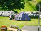 Grass tent pitches