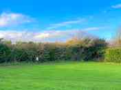 Fresh grass pitches