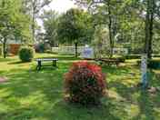 Grass pitches and picnic tables under the trees