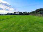 Grass pitches