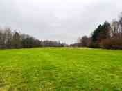Field