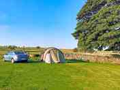 Visitor image of the non-electric camp pitch at top of site, with tree for morning shade (added by manager 12 Sep 2022)