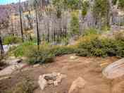 Firepit at Midway Lookout
