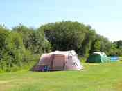 Non-electric grass pitch