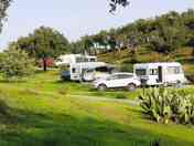 Spacious pitches