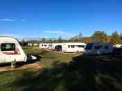 Sunny and shaded pitches