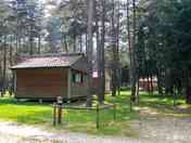 Lodges in the pine forest (added by manager 13 Feb 2024)