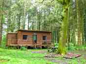 Woodland cosy cabin (added by manager 17 May 2023)