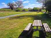 Grass pitch