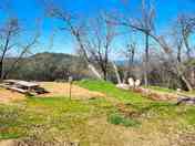 Site #8