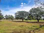 Grassy area