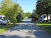 Spacious pitches under the shade of trees