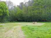 Spacious pitch