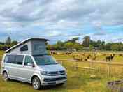 Visitor image of the pitch next to Alpacas (added by manager 15 Sep 2022)