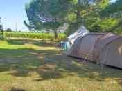 Grass pitches